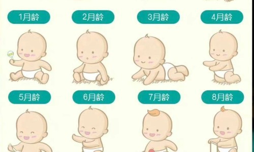 小儿解感颗粒药图片-小儿解感颗粒主治功能网—知名的小儿解感颗粒多少钱一盒呢网站,分享小儿解感颗粒的使用方法知识